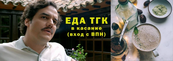 индика Мегион