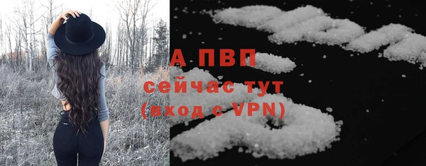 индика Мегион