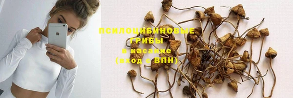 дмт Анива