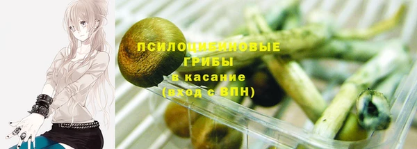 2c-b Михайловка