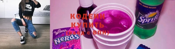 гашик Михайлов