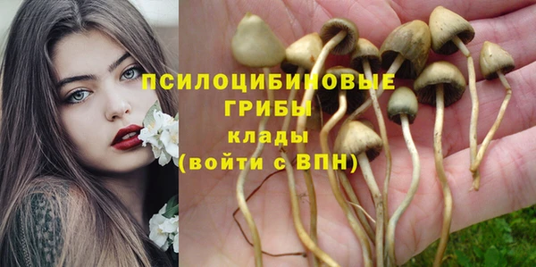 mix Михайловск