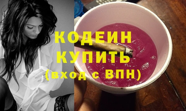 индика Мегион