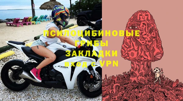 крисы Армянск