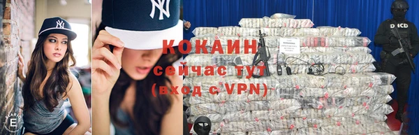 гашик Михайлов