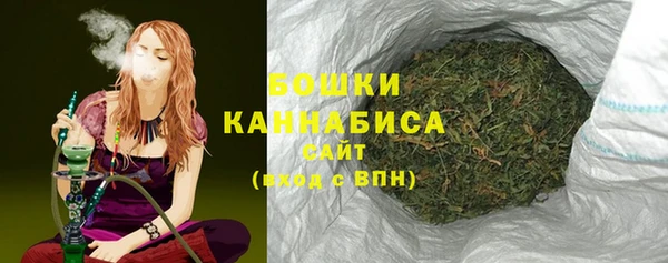 индика Мегион